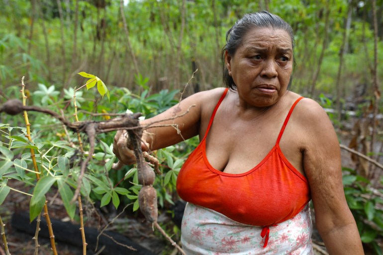 A woman in a tank top holds up cassava roots pulled from the farmland around her.