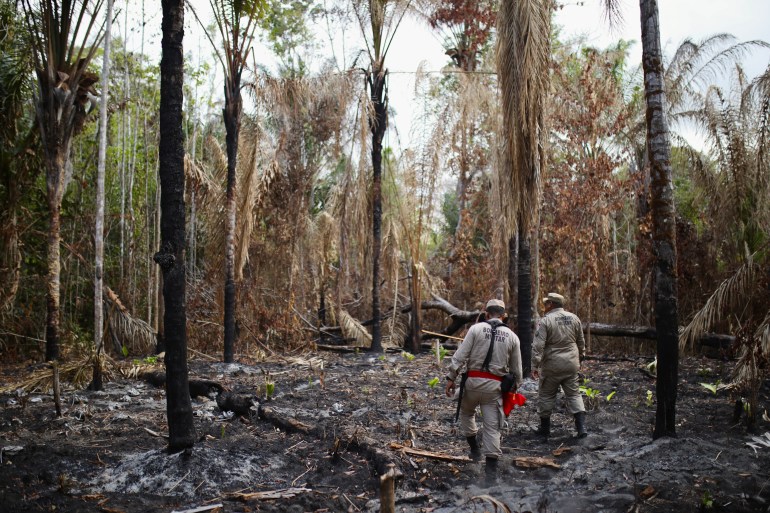 Two firefighters walk past a burned-out aai farm, where charred palm trees are the only remaining vegetation.
