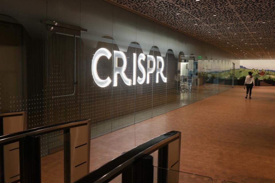 BOSTON, MA - DECEMBER 5: Lobby at Crispr Therapeutics.  (Photo by Jonathan Wiggers/The Boston Globe via Getty Images)