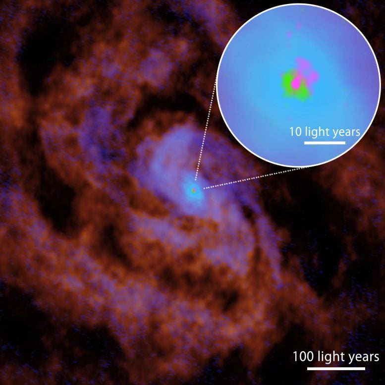 The central region of the Circus Galaxy observed with ALMA