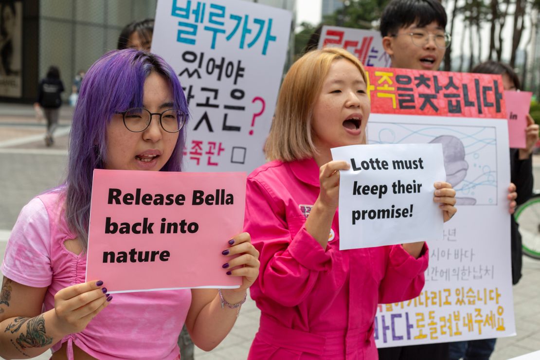 Protesters in Seoul, South Korea, demand the release of Bella the beluga whale.