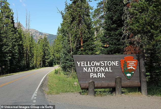 In November, an alarm was raised after a deer carcass tested positive for chronic wasting disease (CWD) in Yellowstone National Park in northwestern Wyoming.