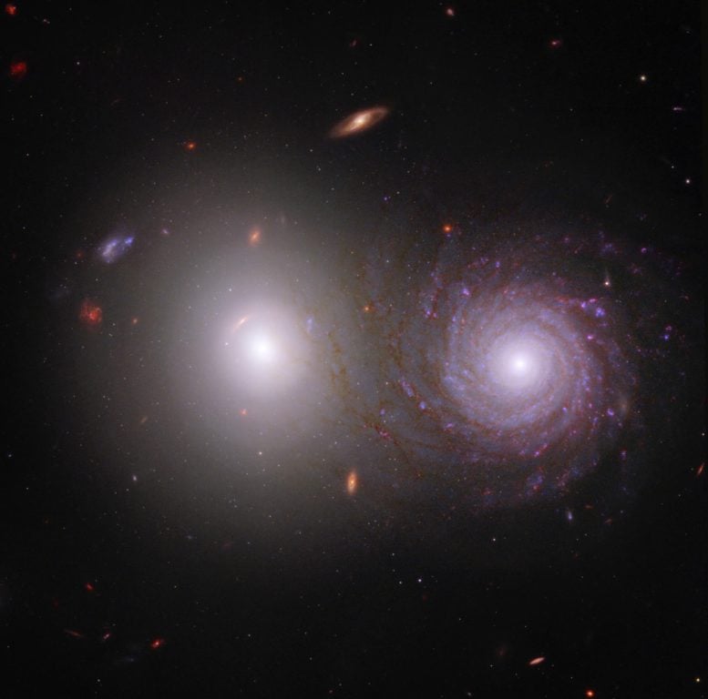 Elliptical and spiral galaxies