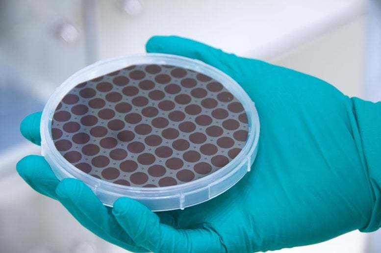 Patterned four-inch gallium arsenide wafer