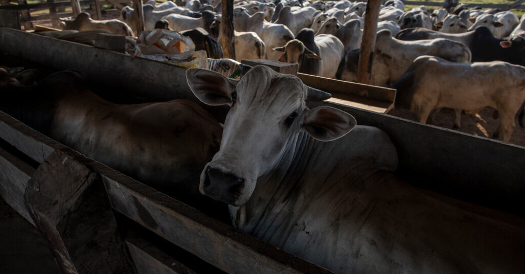 Brazilian government seeks millions in environmental damages from giant meat processing plants