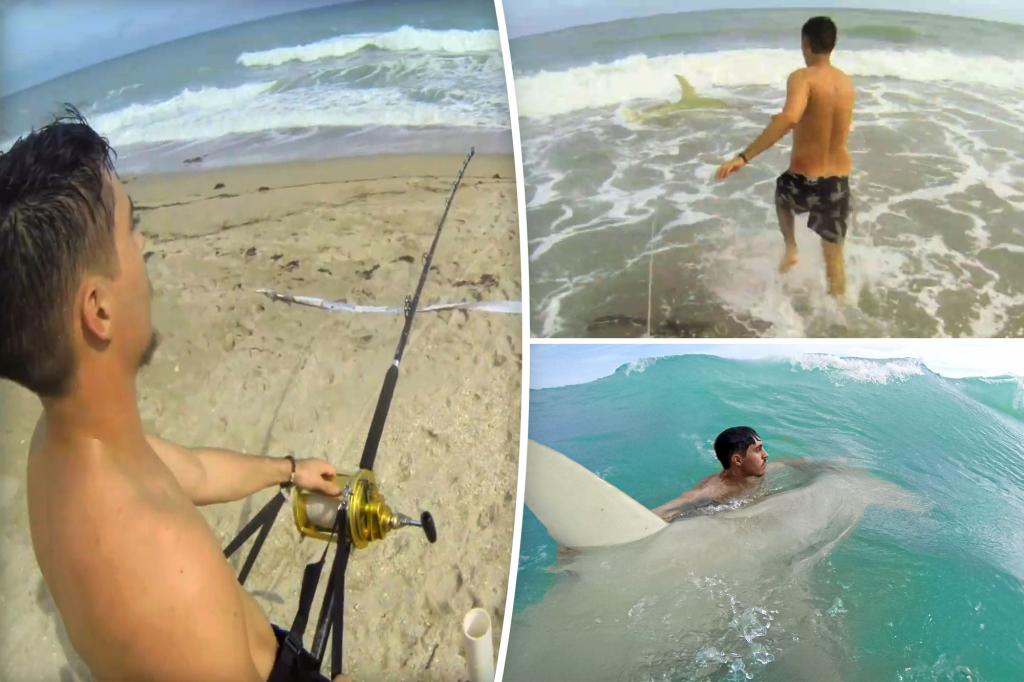 Fisherman catches 12ft shark and brings it back to sea in wild video: 'Must want to die'