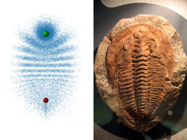 Lab creates strange trilobite-shaped molecule for first time