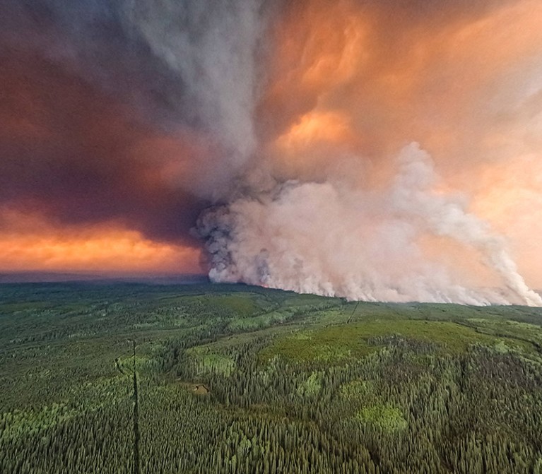 Surge in extreme forest fires fuels global emissions
