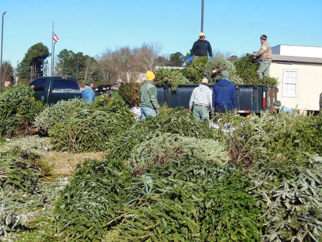 The Hartwell Dam and Lake Project and J. Strom Thurmond Lake recycle live Christmas trees to help create habitat for freshwater fish. Courtesy of the U.S. Army Corps of Engineers, Savannah District.
