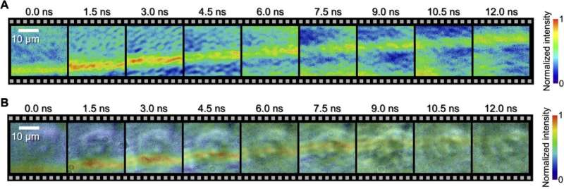 Using improved nanosecond imaging technique to film shock waves passing through a single cell