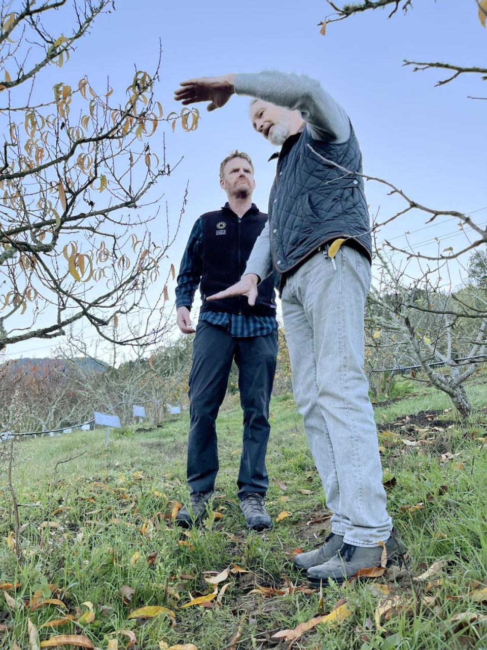 A man gestures to another man as they stand in an orchard.