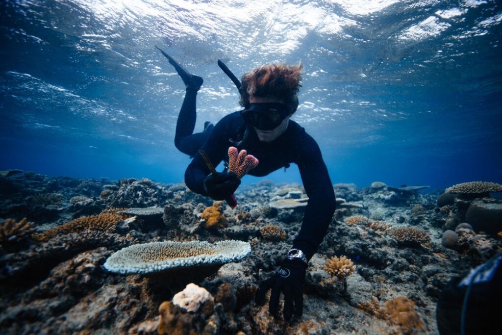 With the help of Aquaman, this conservationist is on a mission to save the world's coral reefs | CNN