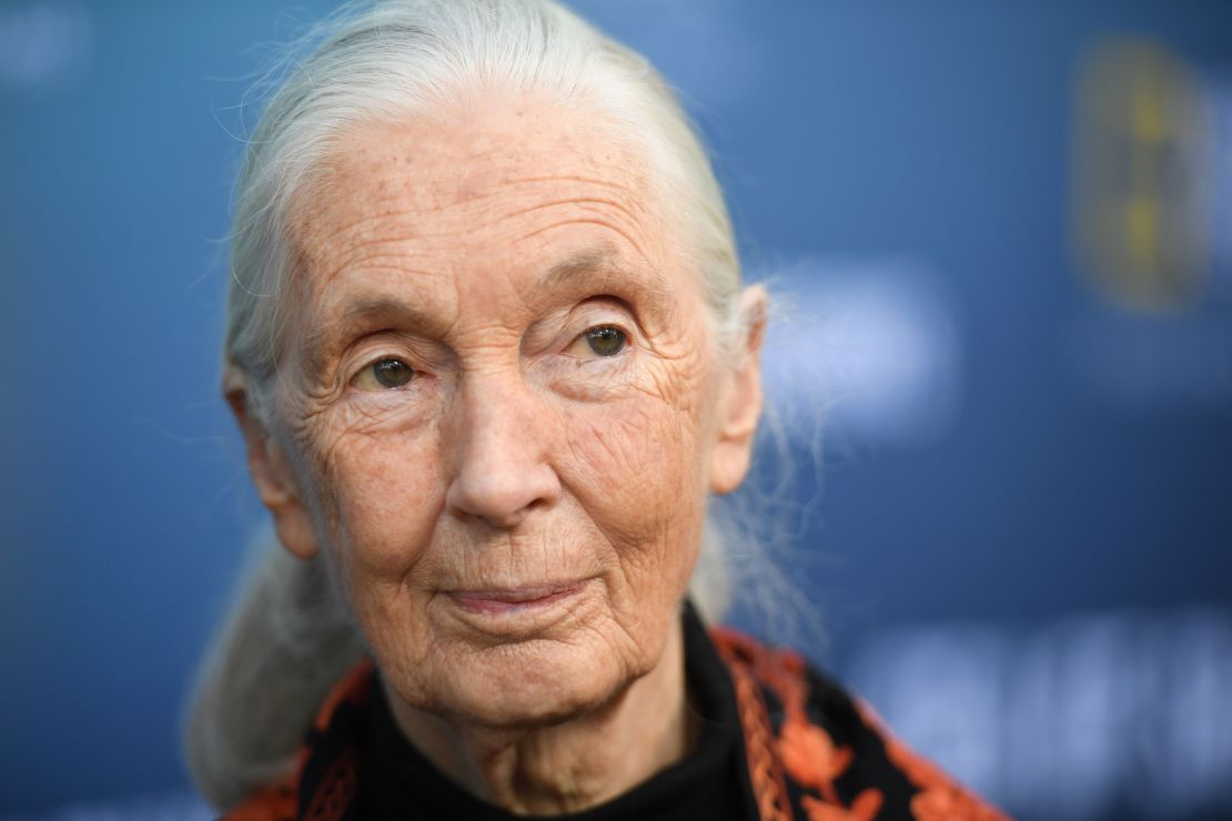British primatologist Jane Goodall, pictured attending an event in Los Angeles in July 2019.