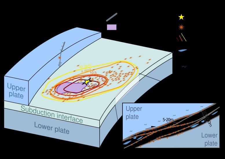 Schematic diagram of seismogenic zone