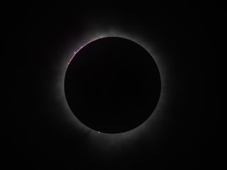 A solar eclipse appears as a black circle with a hazy white outline, with some bright areas on the border between the black circle and the white haze. These are prominences.