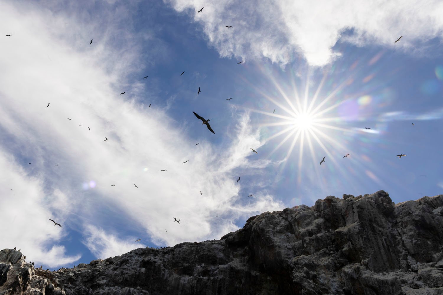 Birds fly over rocky cliffs in bright sunlight, dazzling light and a partly cloudy sky.