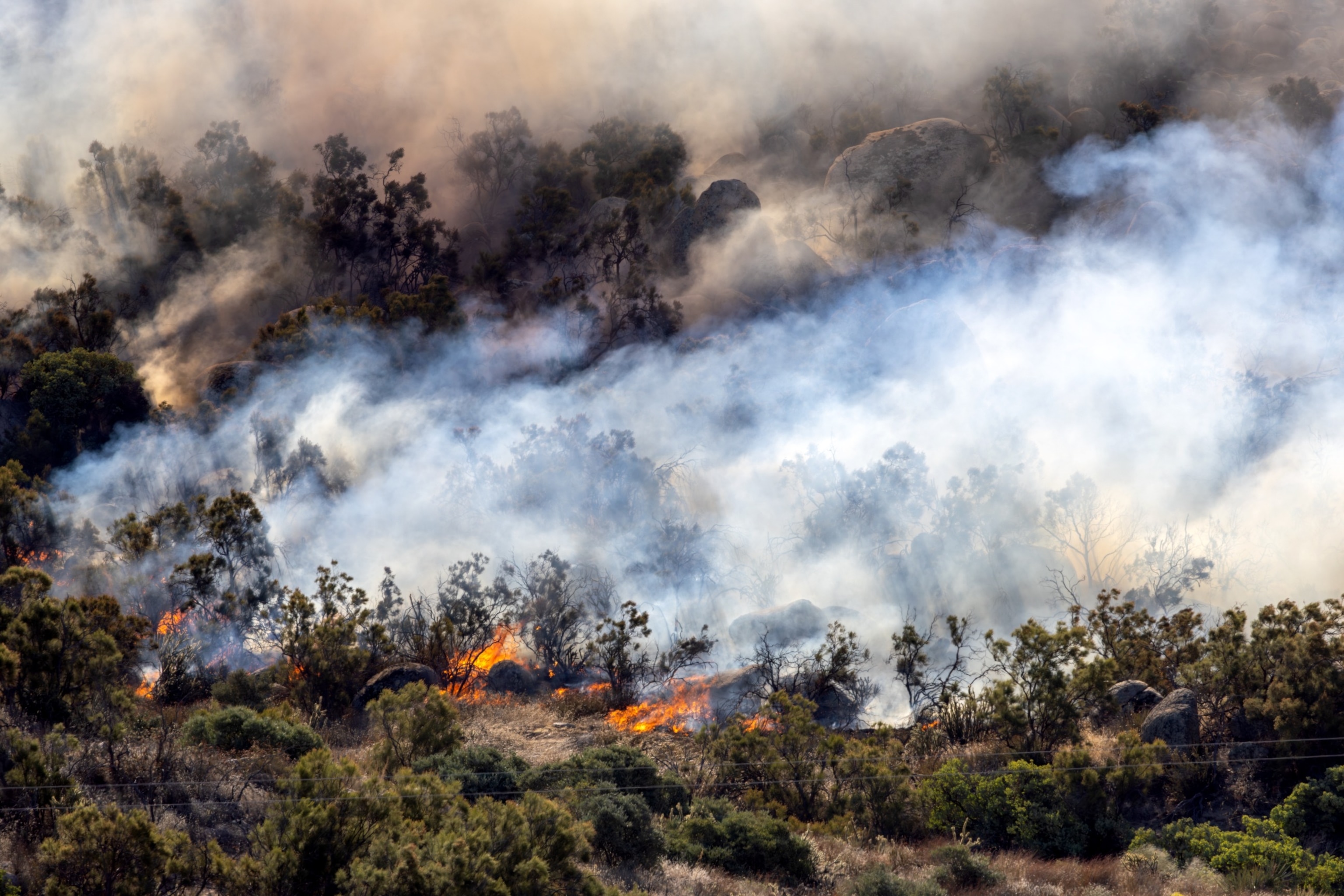 Photo: A brush fire known as the Highland Fire breaks out along Highway 371 in Aguaga, California, on October 31, 2023.