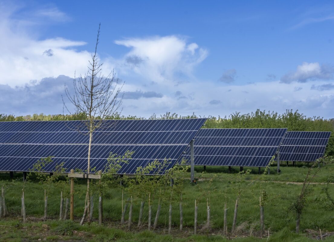 BarnX Solar Panels