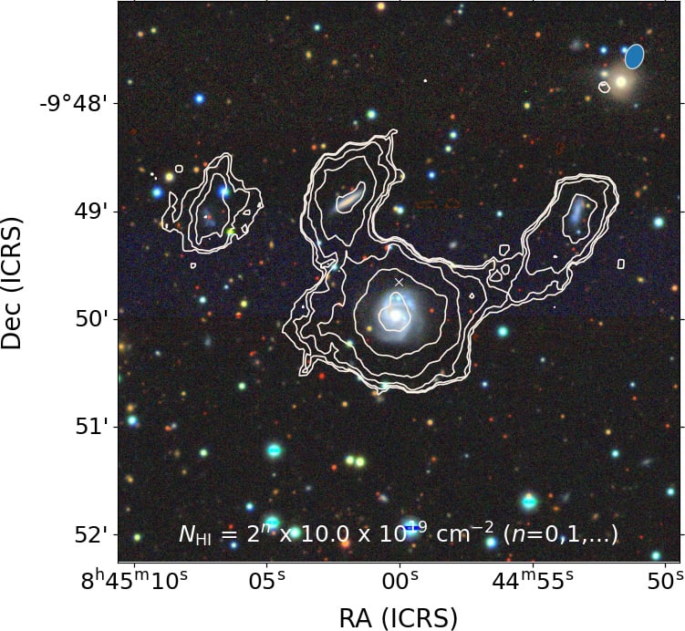 Four nearby galaxies among the 49 galaxies discovered by MeerKAT