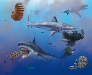 Artist's illustration of two sharks enjoying an ammonite and a turtle underwater.