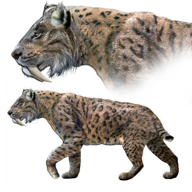 Sabre-toothed tiger from Wikimedia Commons, Mississippi, Sabre-toothed Tiger, 2