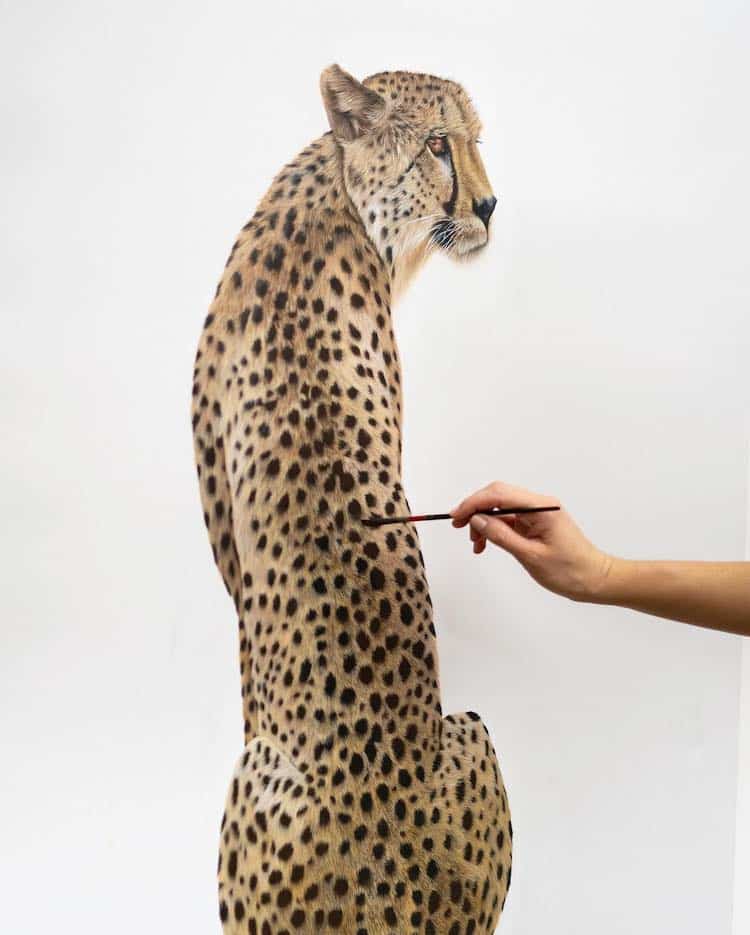 Sophie Green's 'Commodity' series of photos features a cheetah "clinically."