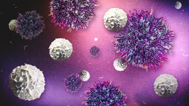 23andMe, Innate Pharma use antibodies to target NK cells for cancer treatment | Biospace