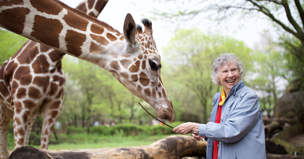 Anne Innis Dagg, who studied wild giraffes, dies aged 91