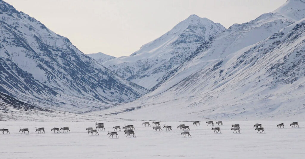 Biden protects millions of acres of Alaska wilderness from drilling and mining