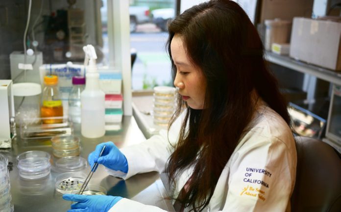 CRISPR center advances genetic disease research