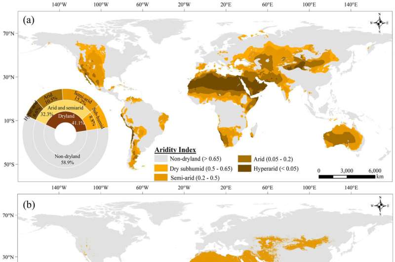 Despite human expansion, the world's oases remain threatened by desertification
