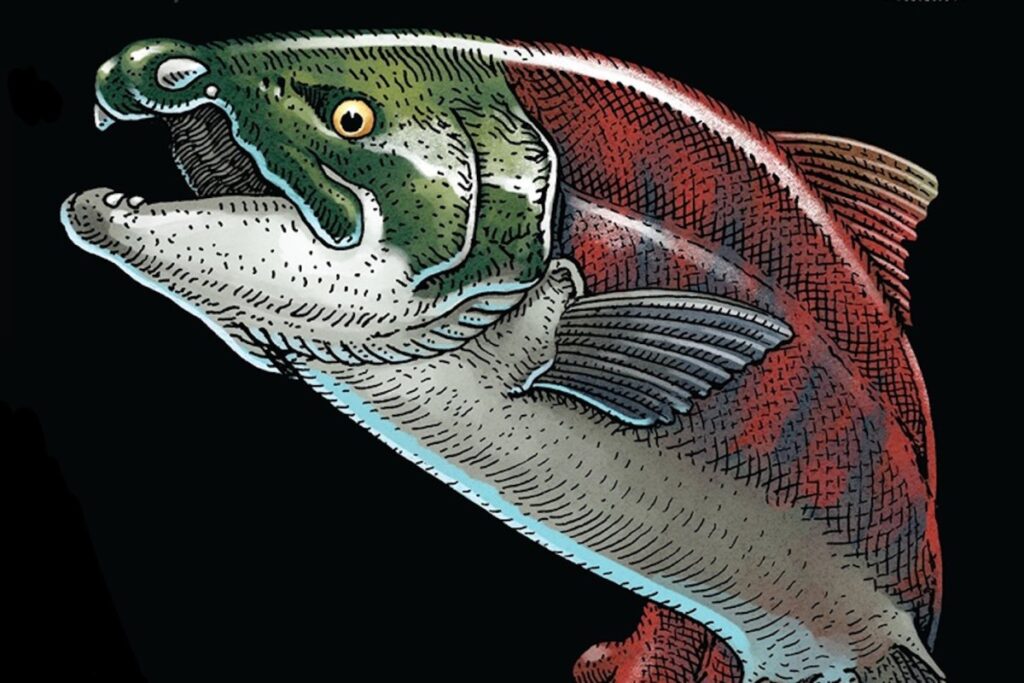 illustration of a prehistoric spike-toothed salmon