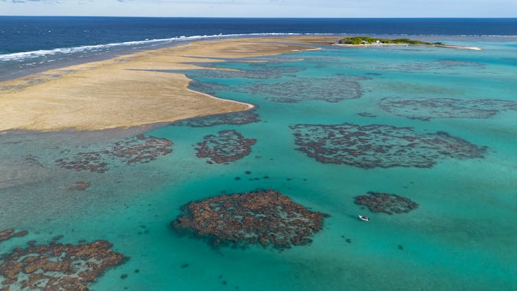 It’s not just coral: The unseen toll of record-breaking heat on the Great Barrier Reef