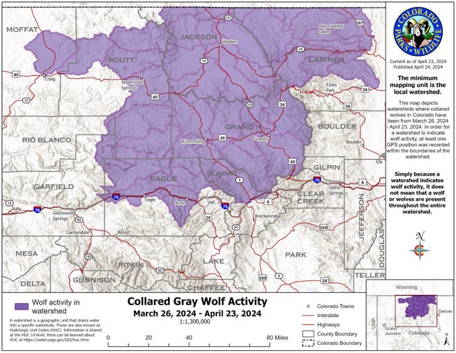 Map of wolf activity in Colorado from March 26 to April 23, 2024.