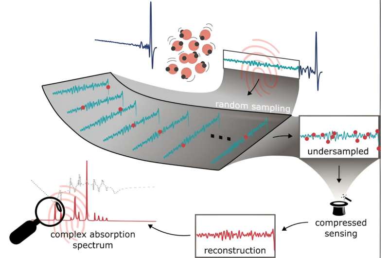 Molecular fingerprints beyond the Nyquist frequency