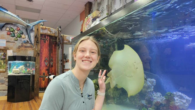 Kinsley Boyette, the ECCO team's assistant director of aquariums and shark labs, poses with Charlotte, a stingray about to give birth via parthenogenesis.