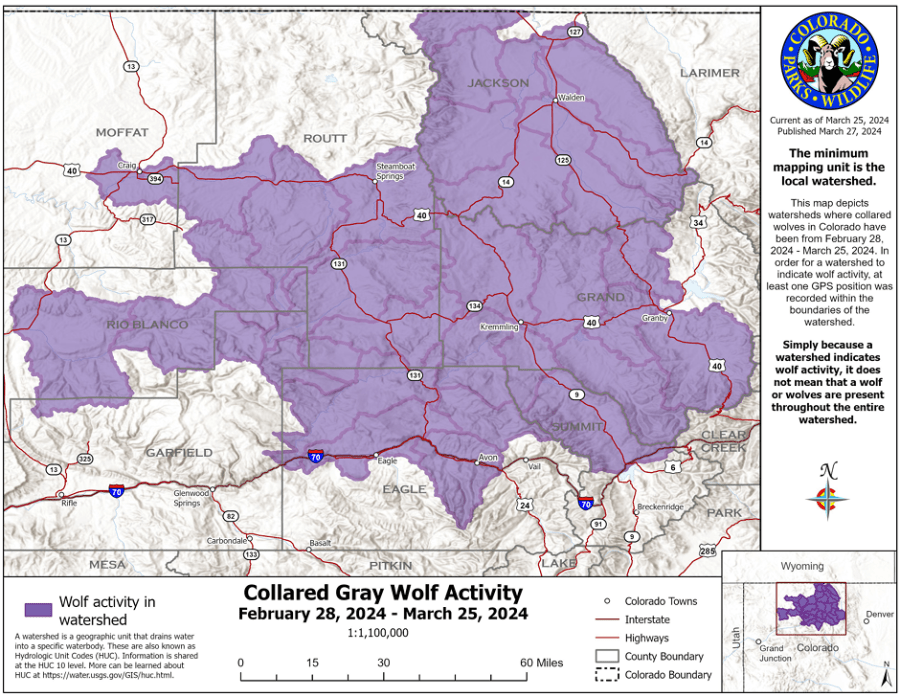 This map shows collared gray wolf activity recorded by CPW between February 28 and March 25, 2024.