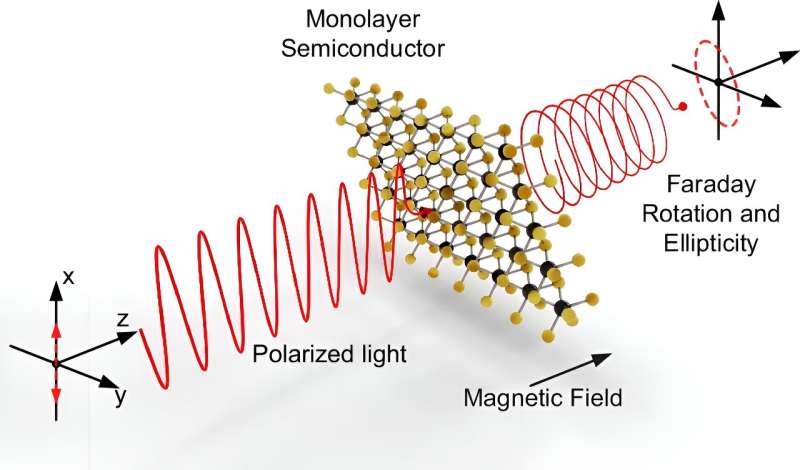 Study shows ultrathin 2D materials can rotate the polarization of visible light