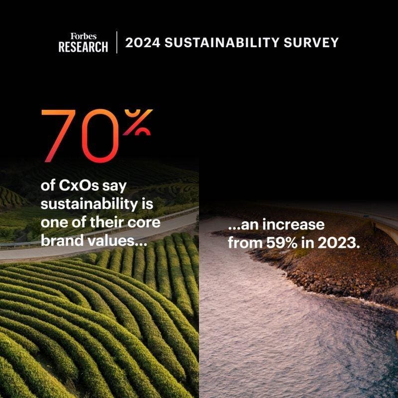 Sustainability is on the corporate agenda: Forbes releases 2024 sustainability report