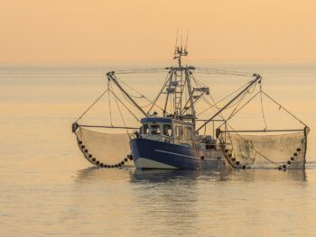 Photo of a fishing boat on calm water in early morning or evening light.