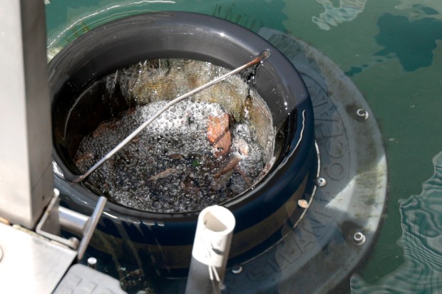 Trash traps collect trash in the Chicago River on May 8, 2024.