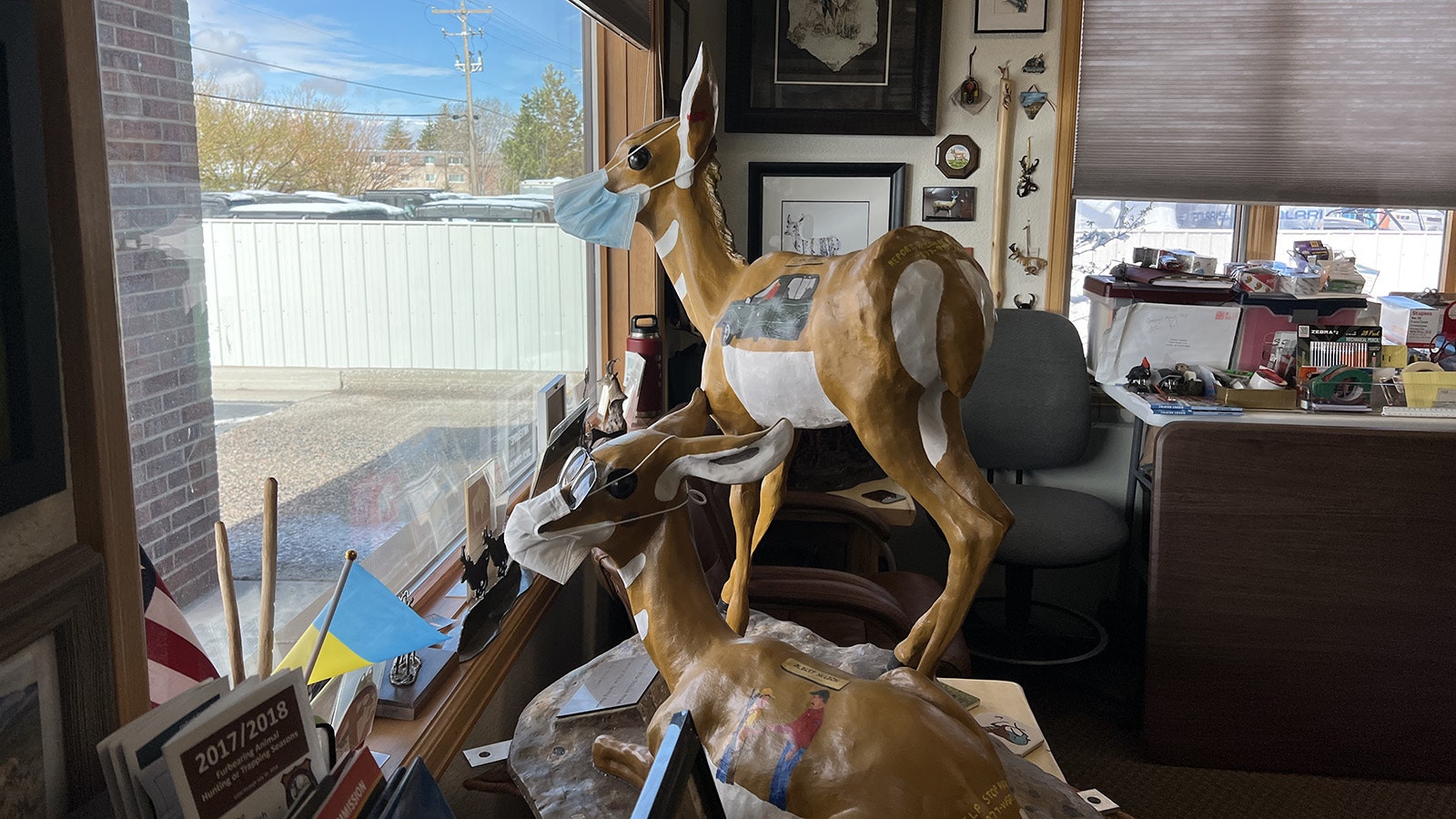 Wildlife biologist Rich Guenzel's office in Laramie has depictions of pronghorn created by artists from Wyoming and across the West.