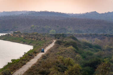 Aerial shot of jeep driving on dirt road through Gir National Park