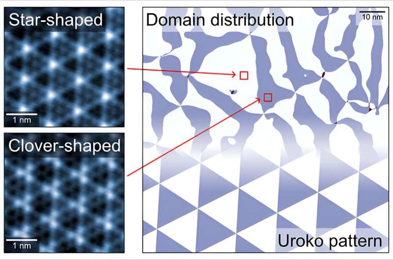 Alternating triangular charge density wave domains observed within layered superconducting compounds