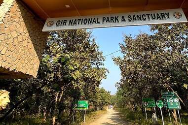 Gir national park gate 
