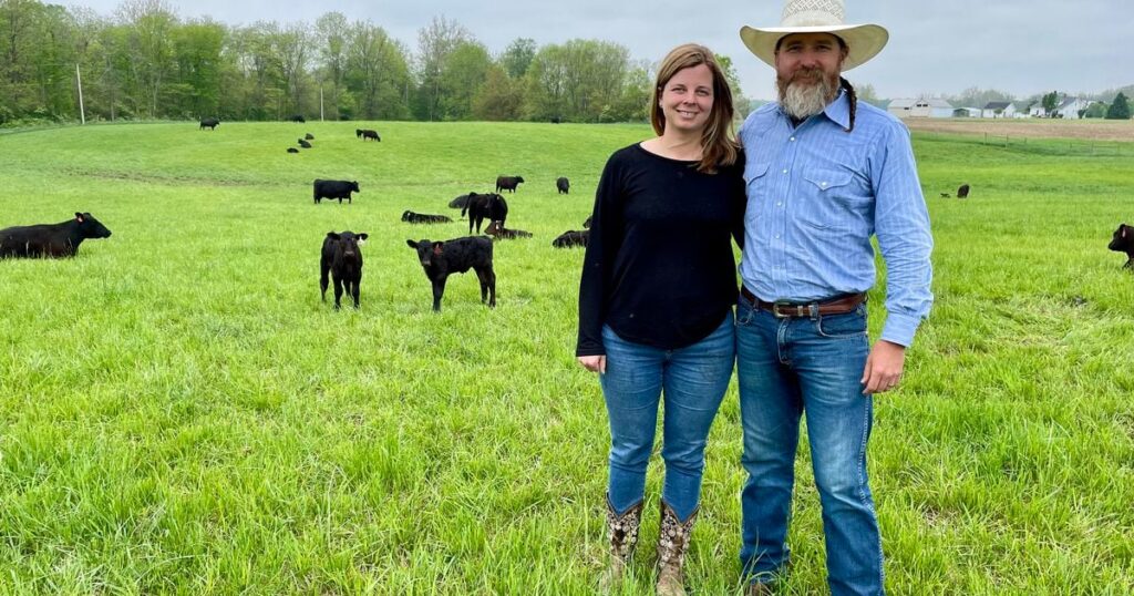 Honey Creek Beef Farm succeeds due to focus on animal comfort, genetics and feed
