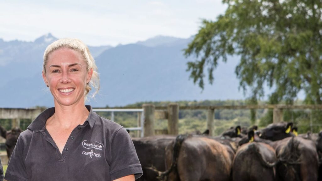 Making smart bull buying decisions - New Zealand Herald