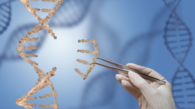 New epigenome editing platform reveals gene regulatory mechanisms