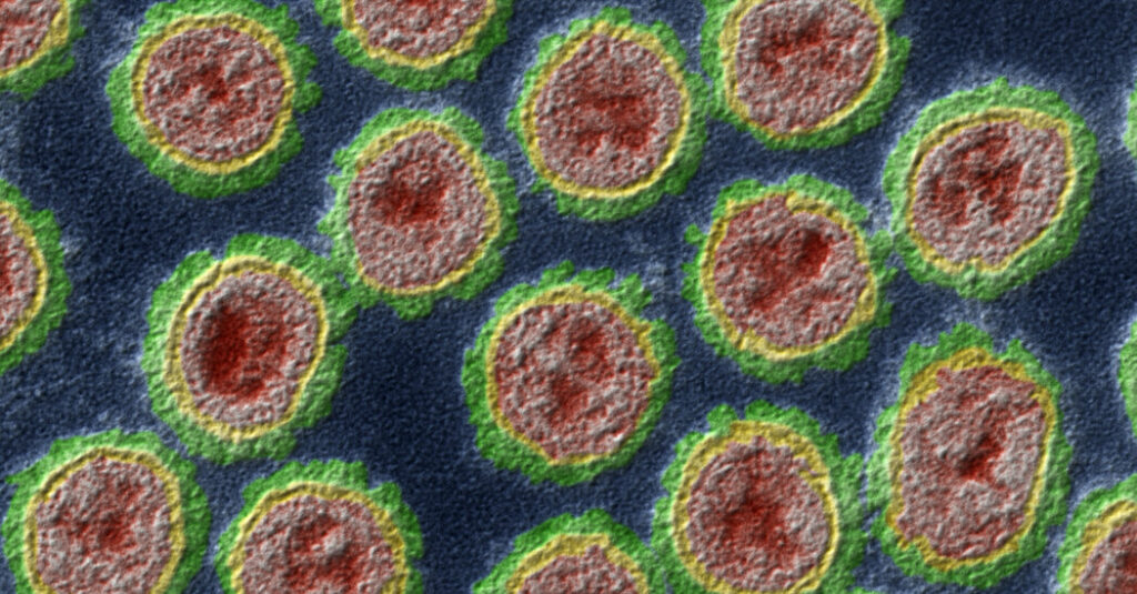New mutation found in bird flu virus